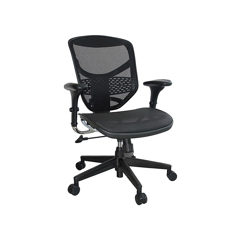 DF Prochair Ergonomic chair  รูปที่ 1