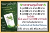 รูปย่อ ชามะรุม สมุนไพรแท้ ลดน้ำหนัก By บ้านชามะรุมสูตรต้นตำหรับ รูปที่4