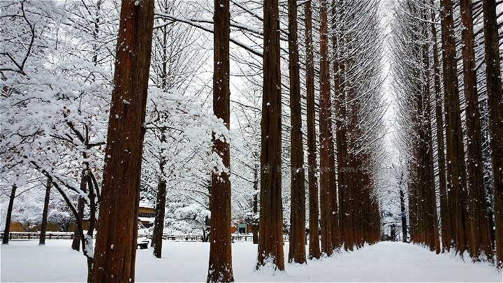 ทัวร์เกาหลีKOREA GRAND WINTER จำนวน 5 วัน 3 คืน  เริ่มต้น 22,900บ. รูปที่ 1