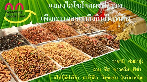 Seasoning Foods Land ผงปรุงรสสร้างอาชีพโดยไม่ต้องง้อแฟรนไชส์ รูปที่ 4