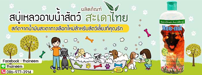 Sayhi Studio รับออกแบบกราฟฟิก Banner ทุกชนิด ถ่ายภาพสินค้า วีดีโอพรีเซนเทชั่น รูปที่ 2