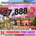 IJ XJ94 ทัวร์ ญี่ปุ่น Hokkaido Pink Moss ซัปโปโร โอตารุ อาซาฮิคาว่า ทุ่งพิงค์มอส  สวนทิวลิป 5 วัน 3 คืน บิน XJ