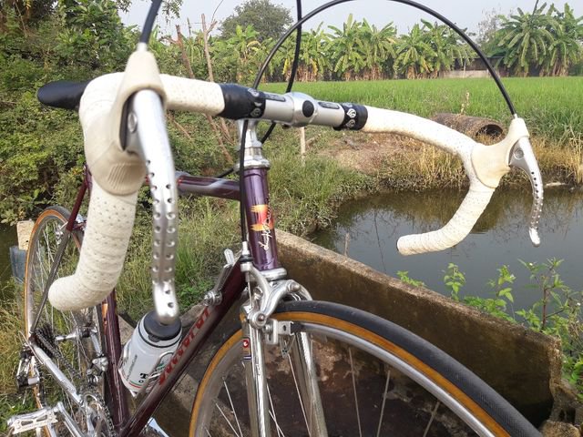 ขายเสือหมอบ Vintage Daccordi griffe size 53 อะไหล่ เทพ Campagnolo Super record สวยสุดๆ รูปที่ 5