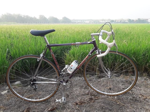 ขายเสือหมอบ Vintage Daccordi griffe size 53 อะไหล่ เทพ Campagnolo Super record สวยสุดๆ รูปที่ 4