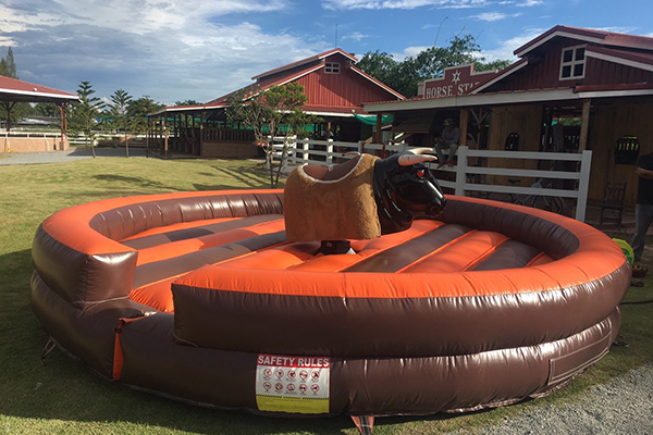 ขายเกมส์ วัวกระทิงไฟฟ้า ,rodeo bull ราคาไม่แพง ของใหม่ เลือกสี เลือกแบบฐานได้  รูปที่ 7