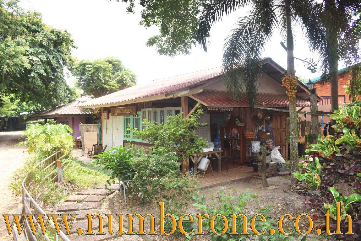 บ้านเดี่ยวพร้อมห้องเช่า ถ.หมายเลข 3079 อ.ศรีมหาโพธิ์ จ.ปราจีนบุรี รูปที่ 4
