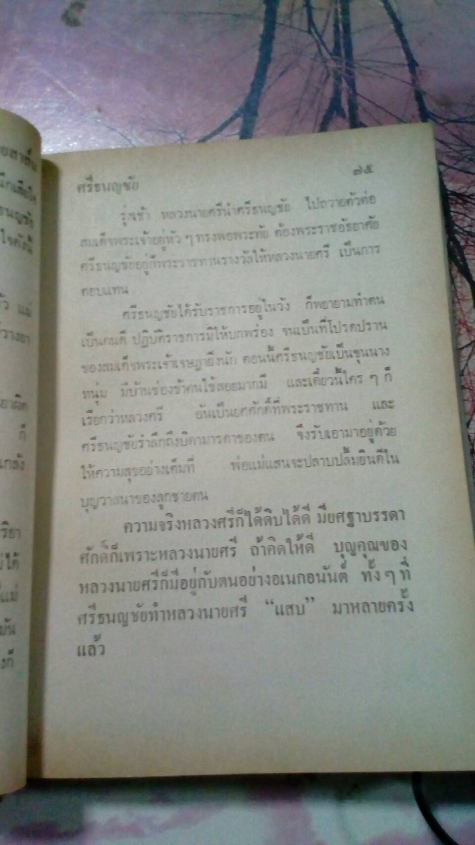 หนังสือเก่าศรีธนญชัยฉบับสมบูรณ์ รูปที่ 2