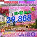 รูปย่อ IJ XJ94 ทัวร์ ญี่ปุ่น Hokkaido Pink Moss ซัปโปโร โอตารุ อาซาฮิคาว่า ทุ่งพิงค์มอส  สวนทิวลิป 5 วัน 3 คืน บิน XJ รูปที่3