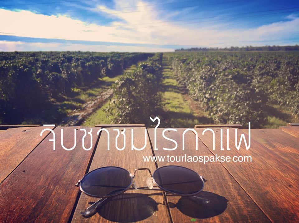 ทัวร์ปากเซ ทัวร์ลาวใต้ 3วัน 2คืน เดินทางด้วยรถตู้ ไปกับคนพื้นที่ไม่ผิดหวังแน่นอนครับ รูปที่ 2