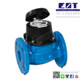 WATER METER : Itron [Series : Woltex]