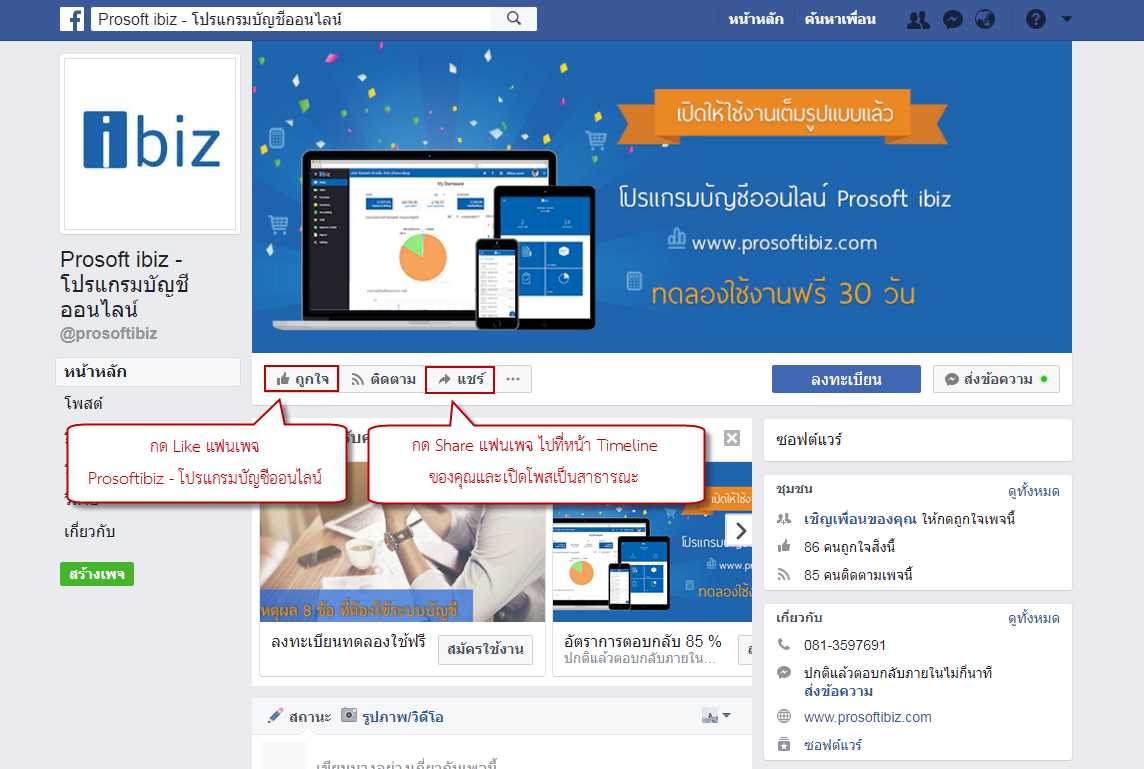 Prosoft Ibiz รูปที่ 3