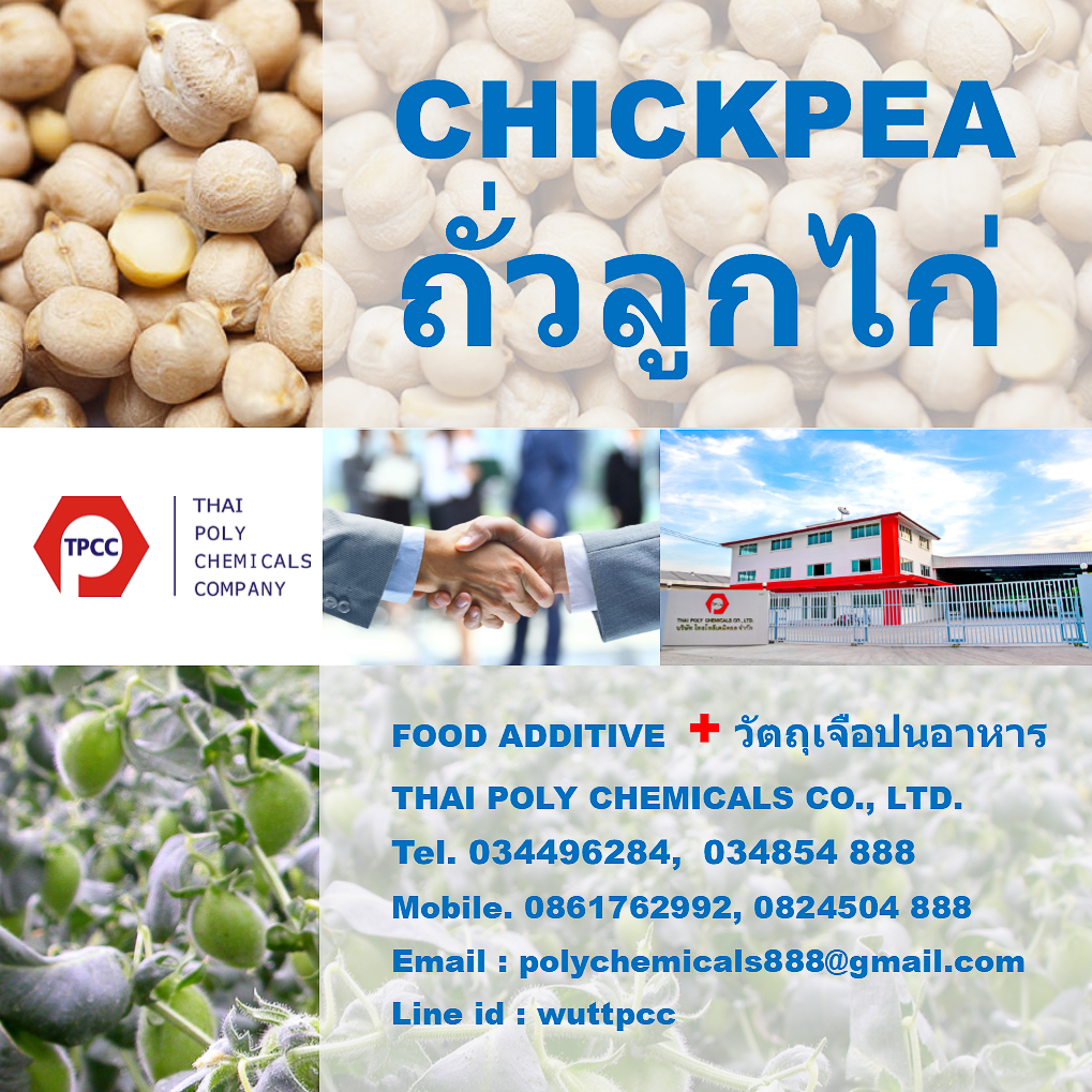 Chickpea, ถั่วลูกไก่, Chick Pea, ถั่วชิคพี, Chickpeas, ถั่วหัวช้าง, Kabuli รูปที่ 1