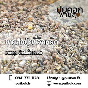 ขายส่งปุ๋ยมูลจิ้งหรีด ราคาถูก จัดส่งด่วนทั่วประเทศ รูปที่ 5