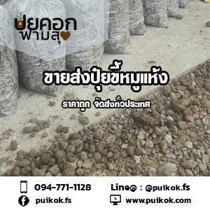 ขายส่งปุ๋ยขี้หมูแห้ง ราคาถูก จัดส่งด่วนทั่วประเทศ รูปที่ 2