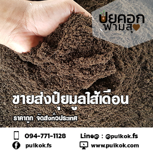 ขายปุ๋ยมูลไส้เดือน ปลีก-ส่ง ราคาถูก จัดส่งด่วนทั่วประเทศ รูปที่ 5