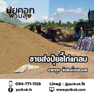 ขายส่งปุ๋ยขี้ไก่แกลบ ราคาถูก  รูปที่ 3