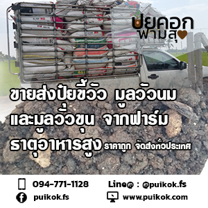 ขายส่งปุ๋ยขี้วัว ทำปุ๋ยต้นไม้ ราคาถูก จัดส่งทั่วประเทศ รูปที่ 2