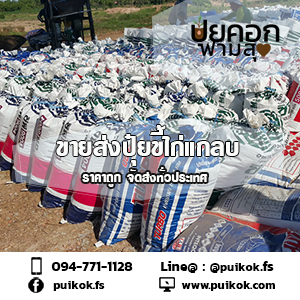 ขายส่งปุ๋ยขี้ไก่แกลบ ราคาถูก  รูปที่ 4
