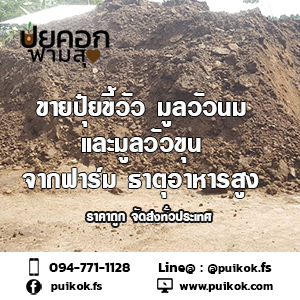 ขายส่งขี้วัวตัน ราคาถูก จัดส่งทั่วประเทศ รูปที่ 2