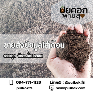 ขายปุ๋ยมูลไส้เดือน ปลีก-ส่ง ราคาถูก จัดส่งด่วนทั่วประเทศ รูปที่ 4
