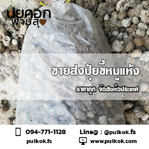 ขายส่งปุ๋ยขี้หมูแห้ง ราคาถูก จัดส่งด่วนทั่วประเทศ รูปที่ 4