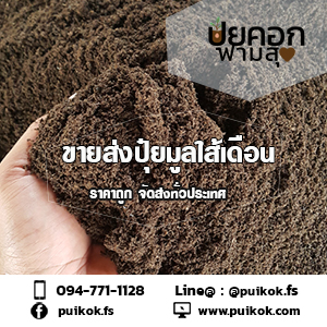 ขายปุ๋ยมูลไส้เดือน ปลีก-ส่ง ราคาถูก จัดส่งด่วนทั่วประเทศ รูปที่ 3