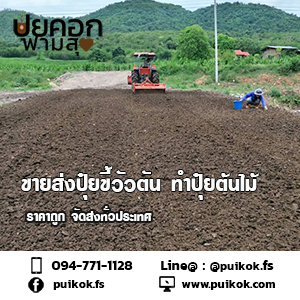 ขายส่งขี้วัวตัน ราคาถูก จัดส่งทั่วประเทศ รูปที่ 4