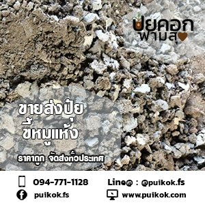 ขายส่งปุ๋ยขี้หมูแห้ง ราคาถูก จัดส่งด่วนทั่วประเทศ รูปที่ 5