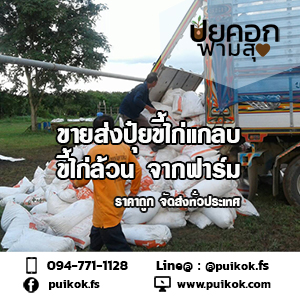 ขายส่งปุ๋ยขี้ไก่แกลบ ราคาถูก  รูปที่ 2