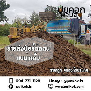 ขายส่งขี้วัวตัน ราคาถูก จัดส่งทั่วประเทศ รูปที่ 3