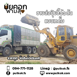 ขายส่งขี้วัวตัน ราคาถูก จัดส่งทั่วประเทศ รูปที่ 5
