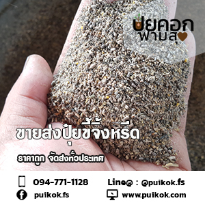 ขายส่งปุ๋ยมูลจิ้งหรีด ราคาถูก จัดส่งด่วนทั่วประเทศ รูปที่ 6