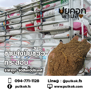 ขายส่งปุ๋ยขี้วัว ทำปุ๋ยต้นไม้ ราคาถูก จัดส่งทั่วประเทศ รูปที่ 6