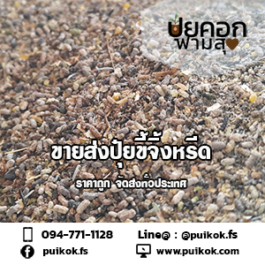 ขายส่งปุ๋ยมูลจิ้งหรีด ราคาถูก จัดส่งด่วนทั่วประเทศ รูปที่ 2