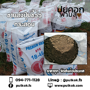 ขายส่งปุ๋ยขี้วัว ทำปุ๋ยต้นไม้ ราคาถูก จัดส่งทั่วประเทศ รูปที่ 4