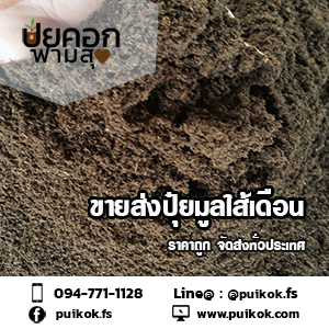 ขายปุ๋ยมูลไส้เดือน ปลีก-ส่ง ราคาถูก จัดส่งด่วนทั่วประเทศ รูปที่ 2
