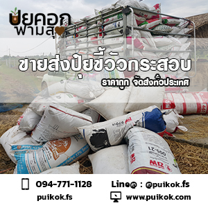 ขายส่งปุ๋ยขี้วัว ทำปุ๋ยต้นไม้ ราคาถูก จัดส่งทั่วประเทศ รูปที่ 5