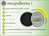 รูปย่อ ผงขัดฟันชาร์โคล ฟ.ฟาง เจ้าแรกของไทยที่ผลิตโดยสมุนไพรไทย 100% รูปที่5