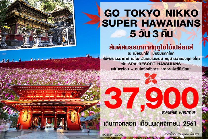 ทัวร์ญี่ปุ่นเดือนพฤศจิกายน 2561/2018 ทัวร์โตเกียว ใบไม้เปลี่ยนสี เมืองนิกโก้ 5D3N บินแอร์เอเชียเอ็กซ์ (XJ) รูปที่ 1