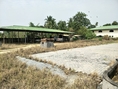 ขายโกดังพร้อมที่ดิน ชลบุรี (Warehouse with land for sale Tambon Takian Banglamung Chonburi province)