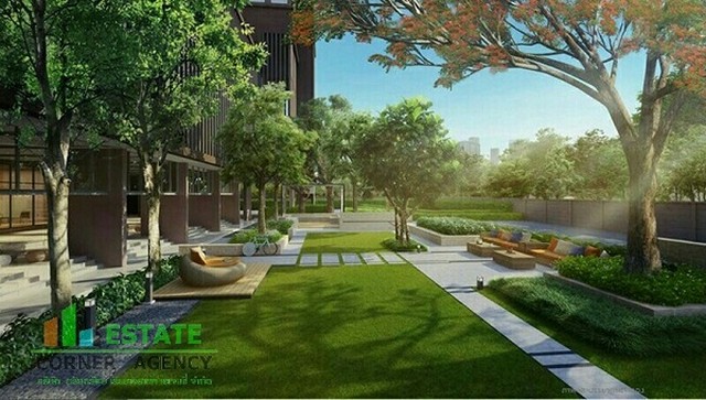 ขายดาวน์ Plum condo รามคำแหง สเตชั่น มุมสวยวิวดี ขายถูก ใกล้ Air port link รามคำแหง  รูปที่ 1