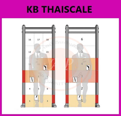 ประตูสแกนโลหะ เครื่องตรวจจับโลหะ สแกนโลหะ แบบเดินผ่าน walk through metal detector TD-800H รูปที่ 1