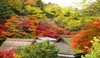 รูปย่อ ทัวร์ญี่ปุ่น-PRO FUJI IBARAKI NIKKO OSAKA 6 วัน 4 คืน (TG) รูปที่2