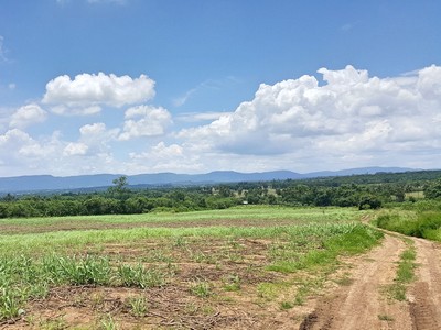 ขายที่ดิน เขาใหญ่ ต.วังไทร อ.ปากช่อง 42 ไร่ ที่ดินอยู่บนเนินเขา ติดคลอง วิวสวยมากๆ รูปที่ 1