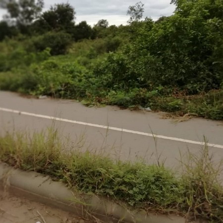 ขายที่ดินเปล่าติดถนนดำ ปราณบุรี-สามร้อยยอด2 ไร่ 3 งาน 31 ตารางวา  รูปที่ 1