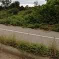 ขายที่ดินเปล่าติดถนนดำ ปราณบุรี-สามร้อยยอด2 ไร่ 3 งาน 31 ตารางวา 