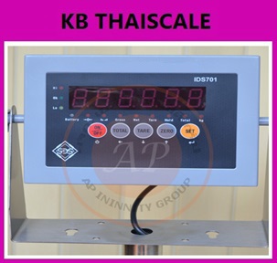 เครื่องชั่งตั้งพื้นขนาดใหญ่ 2 ตัน พร้อมทางลาดในตัว ยี่ห้อ SDS ราคาพิเศษ !! รูปที่ 4