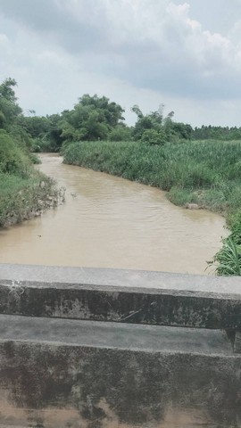 ที่ดินปลวกแดงทำเลดี ราคาดี  ถนนปลวกแดง วังตาผิน ที่ดินสีชมพู่  รูปที่ 1