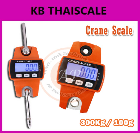 เครื่องชั่งแขวนดิจิตอล 300Kg ยี่ห้อ Crane Scales ราคาถูก รูปที่ 1