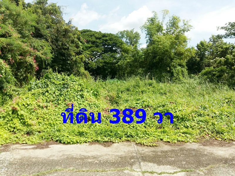 61527 ขาย ที่ดินเปล่า 389 ตรว. ถนนพุทธมณฑลสาย 2 ซอย 21 หน้ากว้าง 30x52 ม.  รูปที่ 1